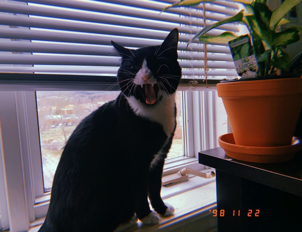 controls hearthssconsole