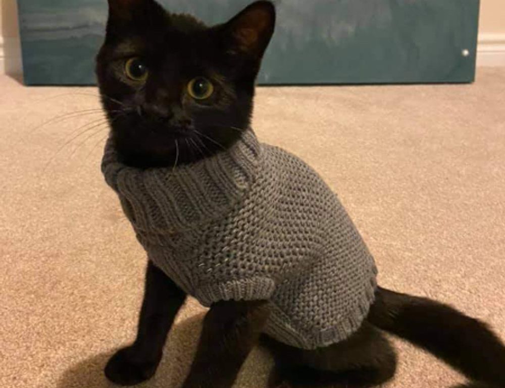 game guide hearthssconsole