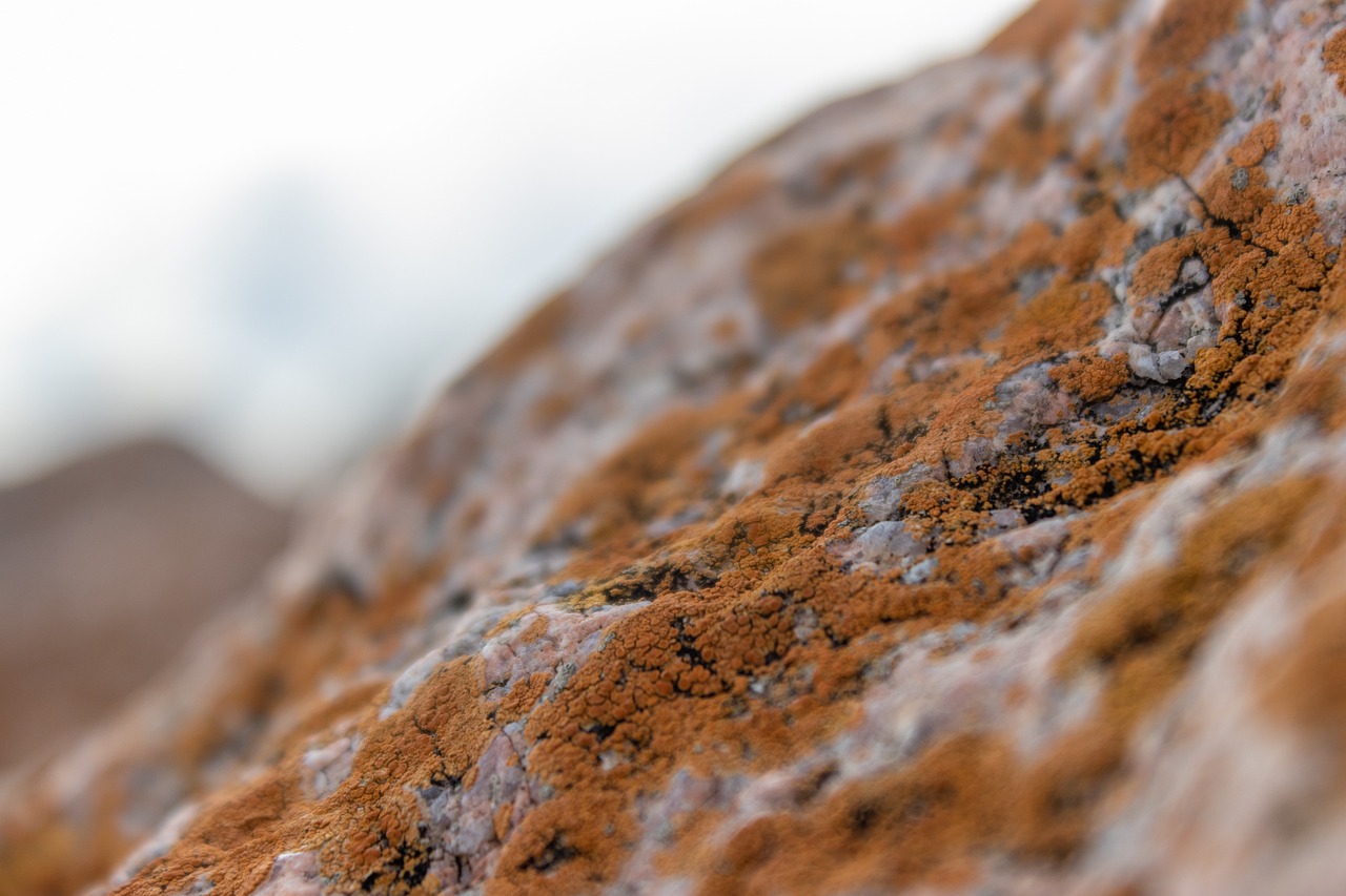 Latest Posts hearthssconsole upgrades by hearthstats