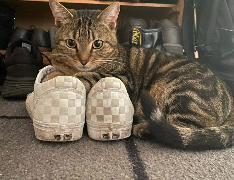 how to pronounce zethazinco island