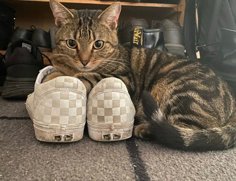 how to pronounce zethazinco island