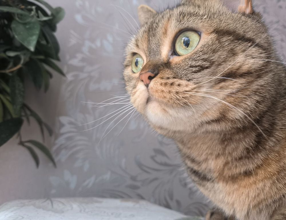 manual hearthssconsole