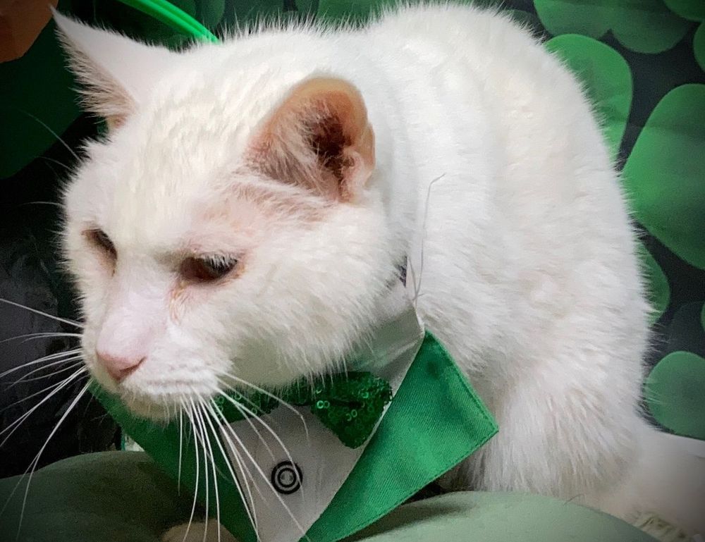 why upgrade immorpos35.3 software regularly