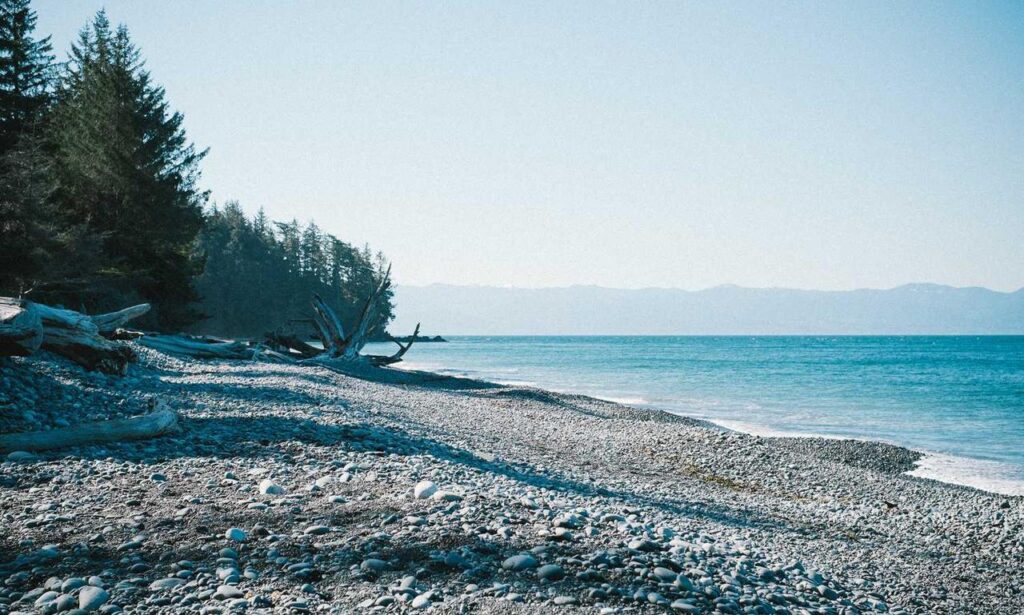 zayepro pharmaceuticals ltd tested