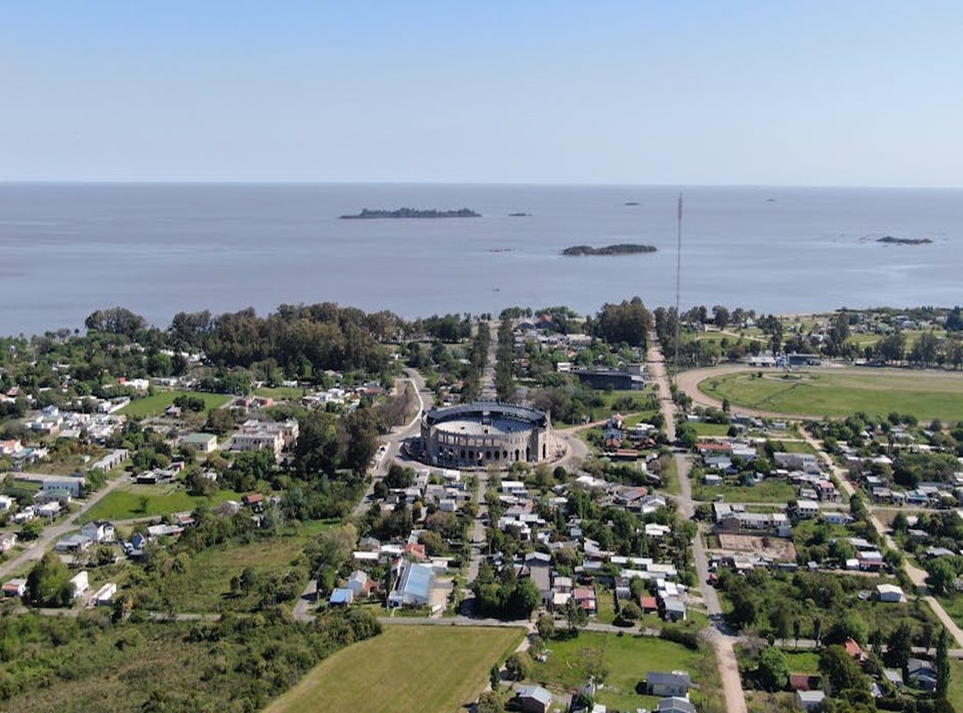 memes de enero sin plata