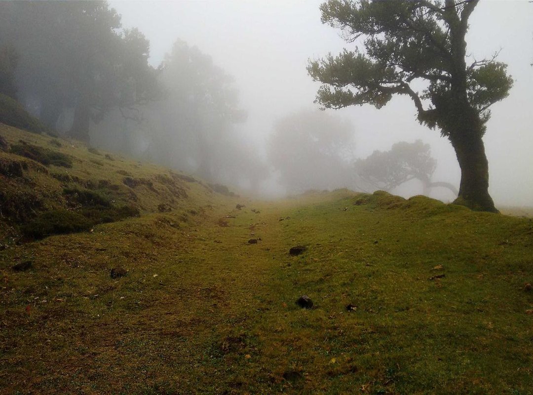 How to Calculate 61 kg in Stone and Pounds: A Step-by-Step Guide