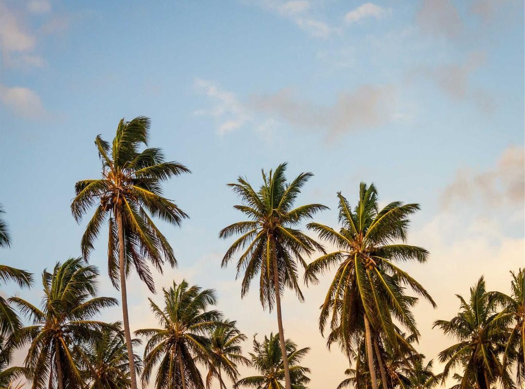 Unpacking the Lyrical Themes: A Line-by-Line Analysis