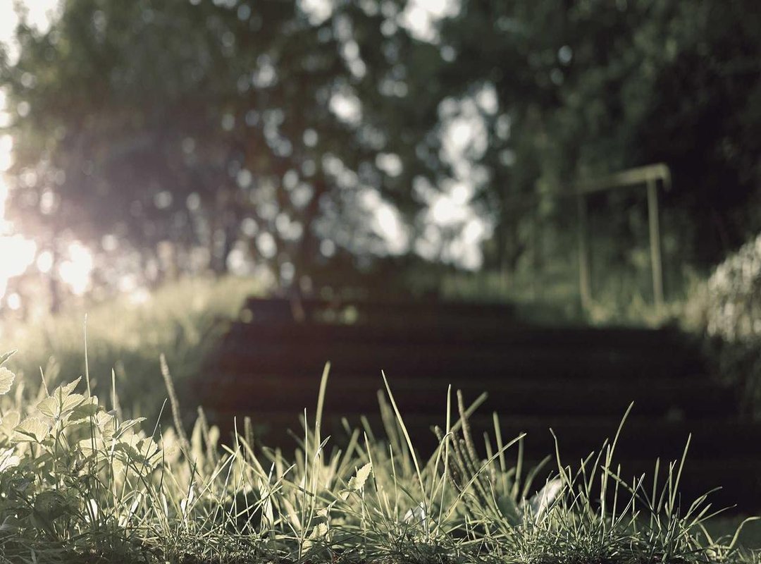 The Honest Truth: Pros and Cons of Choosing Homebois Wallpaper