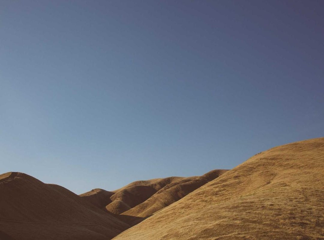 Character Focus: Masha vs. The Professional 'Azafata'