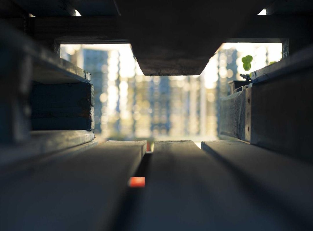 Unleashing Your Creativity: Designing the Custom Skin