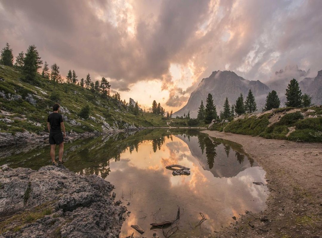 Salonpas vs. Kruidvat Store Brand: Which Patch is the Better Buy?